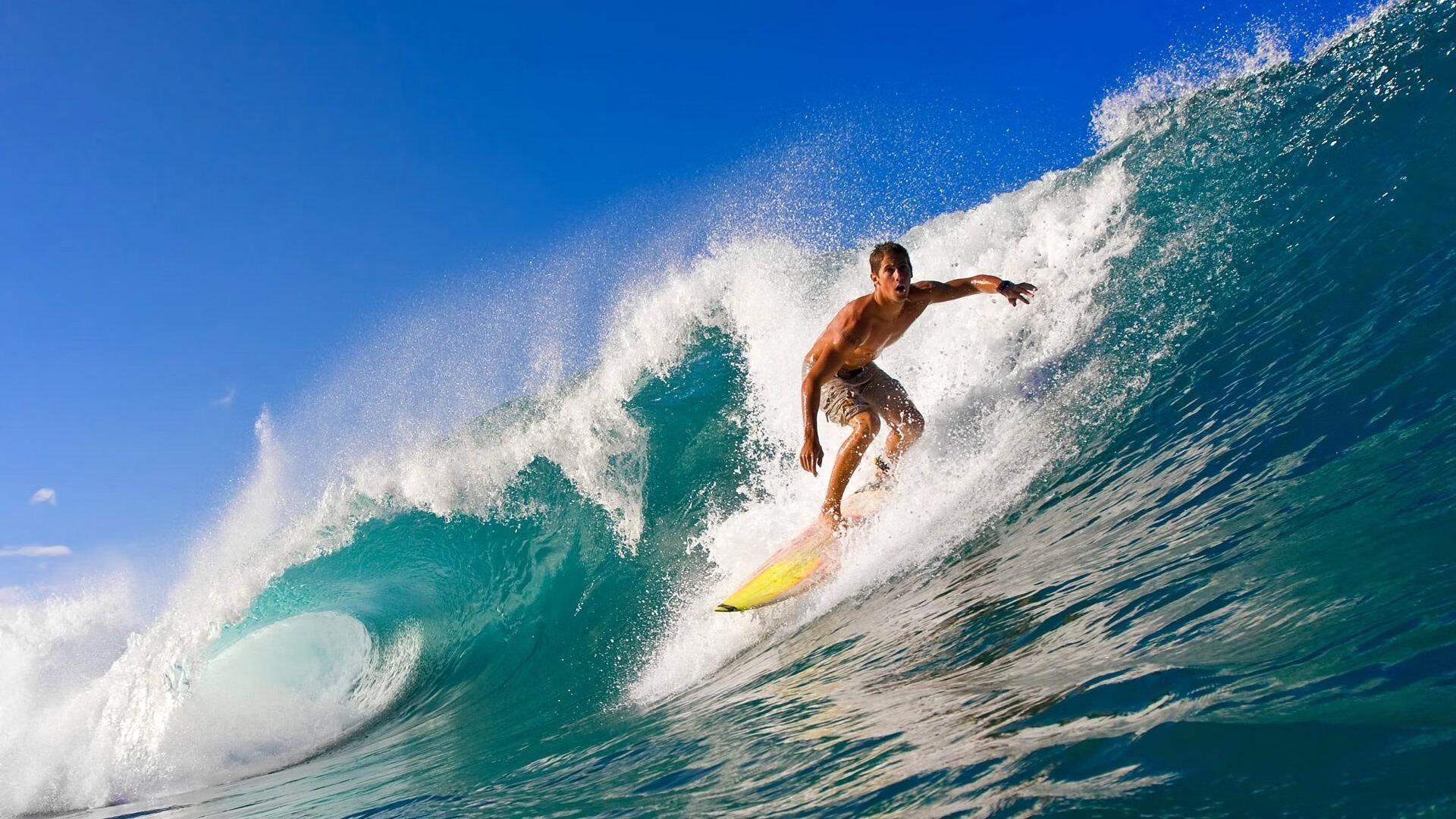 数据显示:划水对称性优于以往,网络词汇划水什么意思