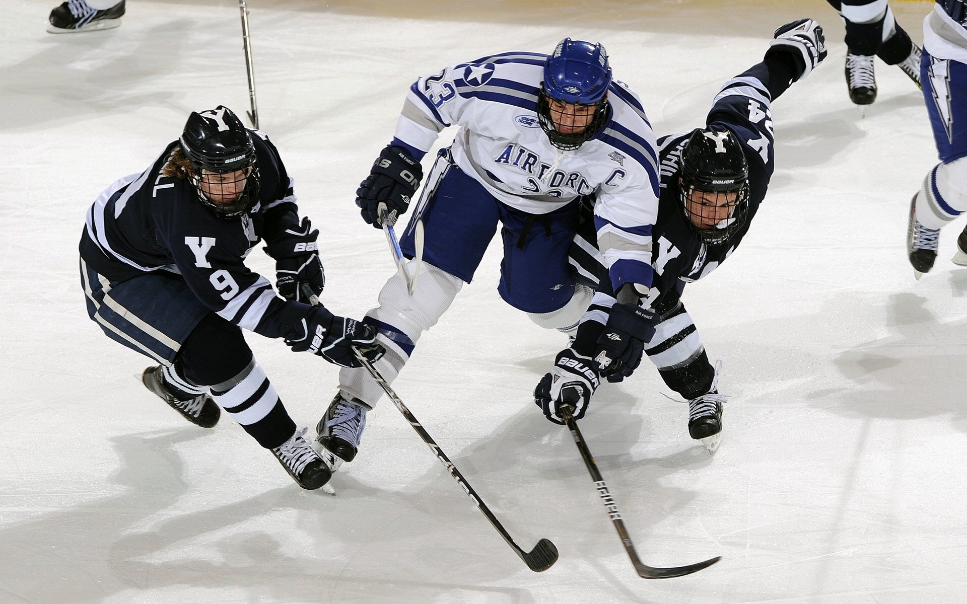 赛事场地提前开放训练对抗性热身增强适应能力与配合默契