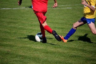 星空体育平台安全-国家队引入国际先进的青少年训练理念 和战术体系，中国青少年国家队